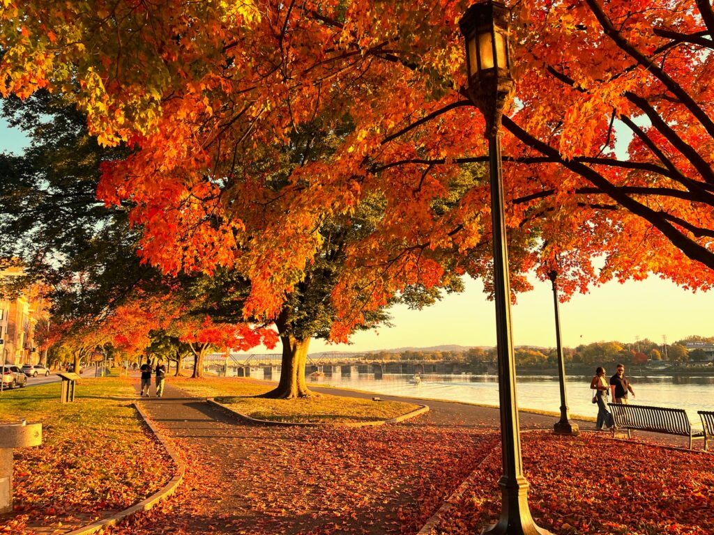 db864260-e5ab-4c6d-869c-b7c943827b68